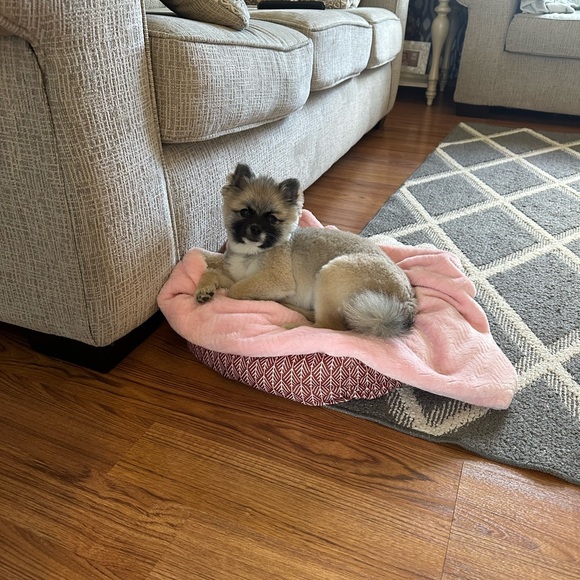 ❤️LOVES OFFERS ❤️! - Picture 11 of 16